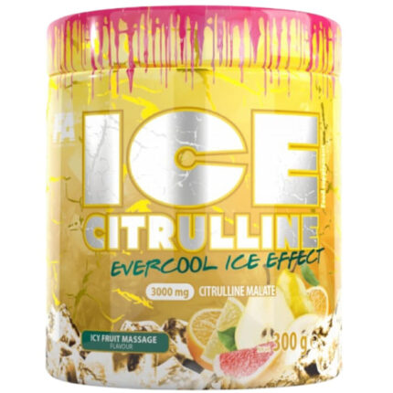 Fitness Authority ICE L-Carnitine 300 гр фруктовый
